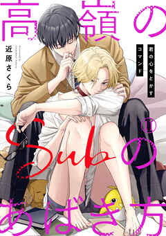 高嶺のSubのあばき方～君の心をとかすコマンド～11