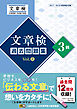 文章検　過去問題集　3級　Vol.2