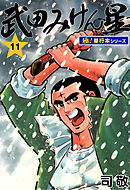 武田みけん星【極！単行本シリーズ】11巻