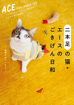 二本足の猫・エースのごきげん日和
