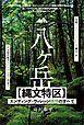 八ヶ岳【縄文特区】エンディング・ヴィレッジ構想のすべて