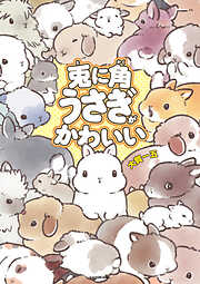 兎に角うさぎがかわいい