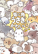 兎に角うさぎがかわいい