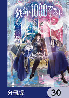鉄錆と1000カラット【分冊版】　30