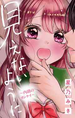 見えないように～内緒のカンケイ～