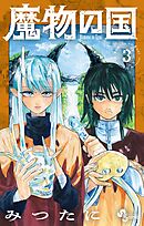 魔物の国 3