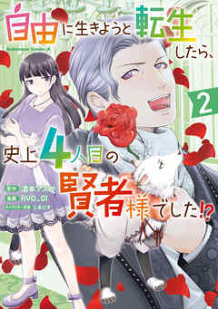 自由に生きようと転生したら、史上4人目の賢者様でした!? （２）