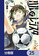 ハルのレジスタ【分冊版】　25