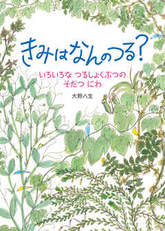 きみは　なんの　つる？　いろいろな　つるしょくぶつの　そだつ　にわ