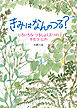 きみは　なんの　つる？　いろいろな　つるしょくぶつの　そだつ　にわ