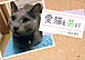愛猫と共に