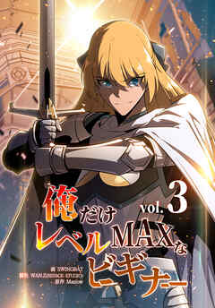 俺だけレベルMAXなビギナー