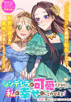 シンデレラが可愛すぎるので私が幸せにしてみせます！