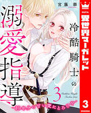 冷酷騎士の溺愛指導 -10年分の甘い愛にとろけ中-