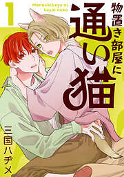 物置き部屋に通い猫