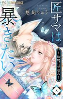 匠サマは暴きたい～輪廻に甘噛み～ 3