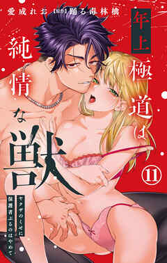 年上極道は純情な獣 ヤクザのくせに保護者ぶるのはやめて 11