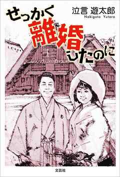 せっかく離婚したのに