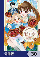 王都の行き止まりカフェ『隠れ家』 ～うっかり魔法使いになった私の店に筆頭文官様がくつろぎに来ます～【分冊版】　30