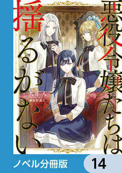 悪役令嬢たちは揺るがない【ノベル分冊版】　14