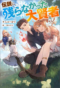 伝説に残らなかった大賢者（ノベル）