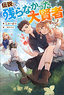 伝説に残らなかった大賢者（ノベル）