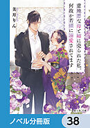 意地悪な母と姉に売られた私。何故か若頭に溺愛されてます【ノベル分冊版】　38