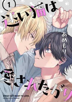 迷い猫は愛されたがり　第1話