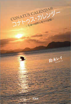 コナトゥス・カレンダー ～生命の図形と星々の記憶～