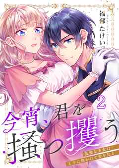 今宵、君を掻っ攫う～孤独な少女は、王子に抱かれて愛を知る2巻