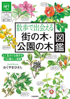 散歩で出会える街の木公園の木図鑑