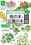 散歩で出会える街の木公園の木図鑑