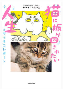 猫に振り回されたい人生　#ヤマネコレポート