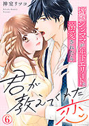 君が教えてくれた恋～34歳シンママが年下エリートに溺愛されたら 6巻