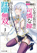 墜星の最強魔道士 ～亡命王族の俺は可憐な嫁を手に入れて、昼も夜も蹂躙無双～（ノベル）１巻 【電子書籍限定特典SS付き】