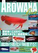 AROWANA LIVE（アロワナライブ） vol.012