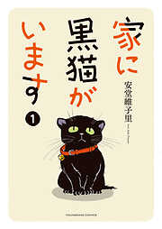 家に黒猫がいます