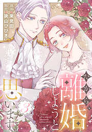 だから、離婚しようと思います【おまけ描き下ろし付き】　3巻