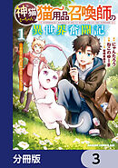 神猫ミーちゃんと猫用品召喚師の異世界奮闘記～目指すは、もふもふスローライフ！～【分冊版】　3