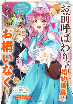お前呼ばわりで婚約破棄？隣国で自由を謳歌するのでどうぞお構いなく！～追放令嬢、実は最強精霊師でした～