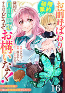 Berry’sFantasyお前呼ばわりで婚約破棄？隣国で自由を謳歌するのでどうぞお構いなく！～追放令嬢、実は最強精霊師でした～16巻