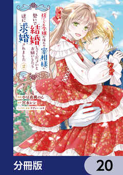 捨てられ令嬢が憧れの宰相様に勢いで結婚してくださいとお願いしたら逆に求婚されました【分冊版】　20