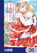 捨てられ令嬢が憧れの宰相様に勢いで結婚してくださいとお願いしたら逆に求婚されました【分冊版】　20
