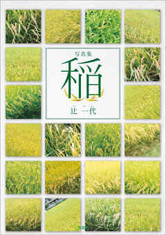 写真集 稲