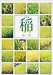 写真集 稲