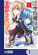 転生した空間魔法使いは正体隠して目立ちたい！【分冊版】　1
