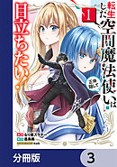 転生した空間魔法使いは正体隠して目立ちたい！【分冊版】　3