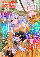 近衛総隊長である夫から離婚を望まれていますが、天使のような継子と別れたくありません【電子単行本版】 / 3