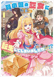 万年2位の天才魔法使い 1 ～王国からの秘密のお仕事のため、実力を
