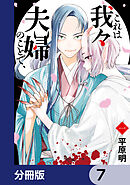 これは我々夫婦のことで、【分冊版】　7